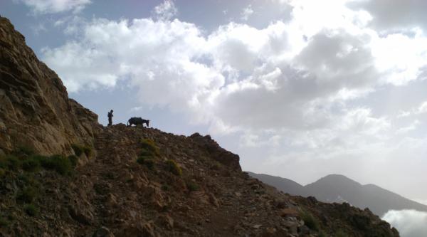 Photo of Muleteer on path nearing top of Tizi Ouhatter col