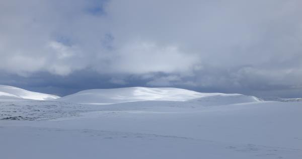 Photo of Looking to  Monadh Mor