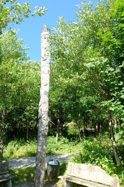 Photo of Totem pole created by locals